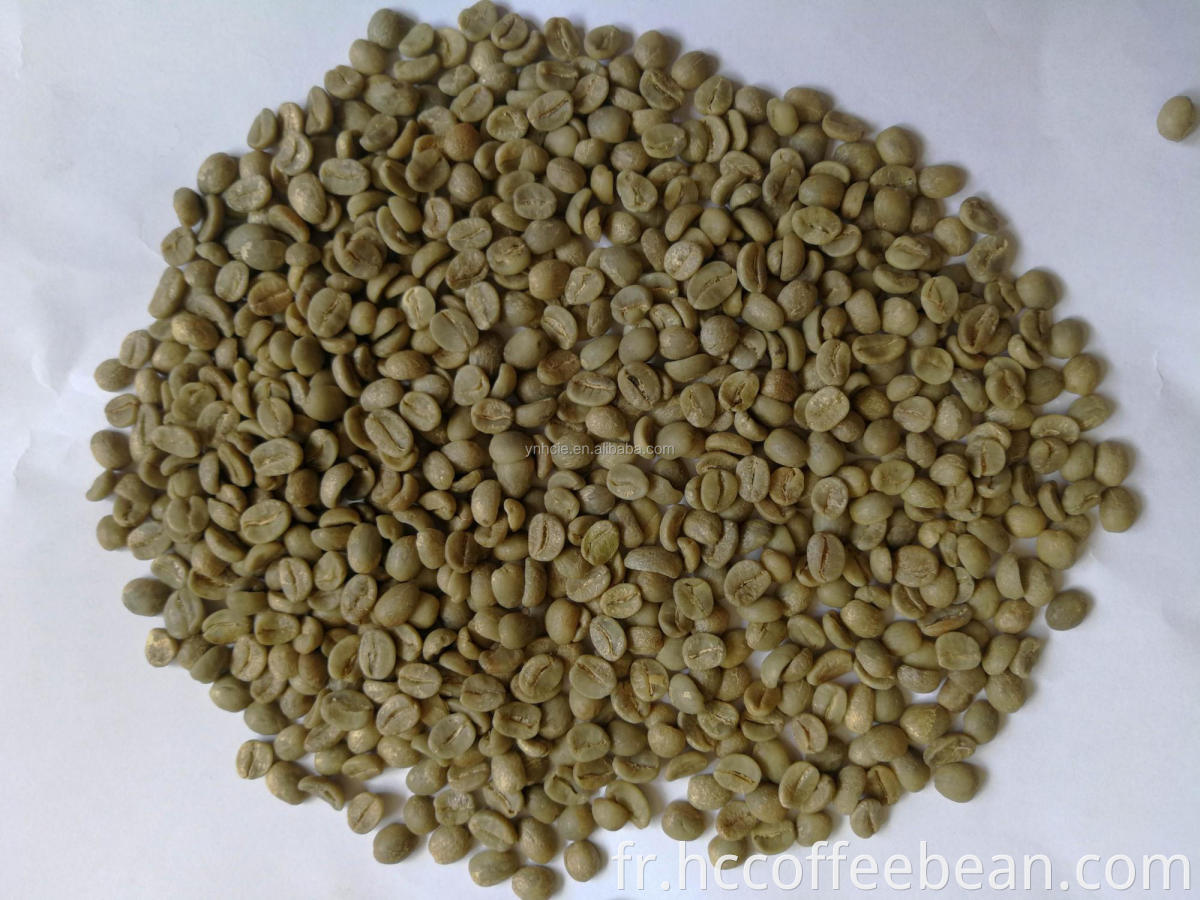 Grains de café verts lavés chinois yunnan arabica, grade AA, écran 17-18